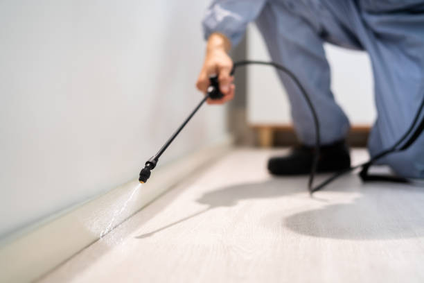 Licensed Termite Control service in Jamestown, KY - Nex Pest Control