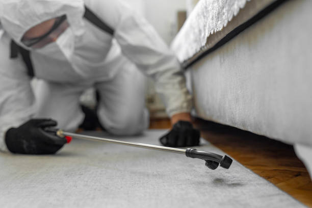 Professional Termite Control technician working in Jamestown, KY
