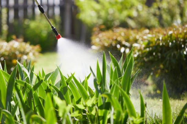 24/7 Emergency Termite Control experts in Jamestown, KY