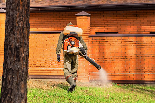 Top rated local Termite Control specialists in Jamestown, KY
